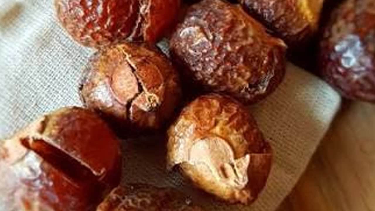 1 kere eken 90 yıl hasat ediyor: Suya değdiği zaman ilaç kadar etkili oluyor... Sabun cevizini asla yeme