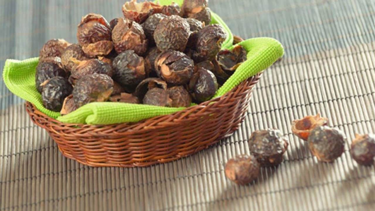 Foto - 1 kere eken 90 yıl hasat ediyor: Suya değdiği zaman ilaç kadar etkili oluyor... Sabun cevizini asla yeme