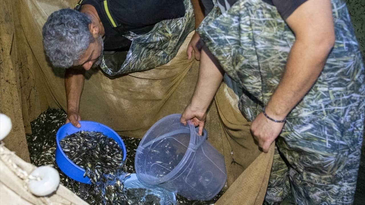 Foto - 1 milyondan fazlası yola çıktı Ankara’ya balık akını başladı