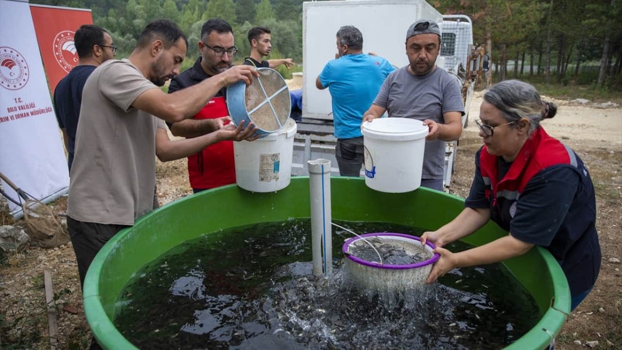 Foto - 1 milyondan fazlası yola çıktı Ankara’ya balık akını başladı
