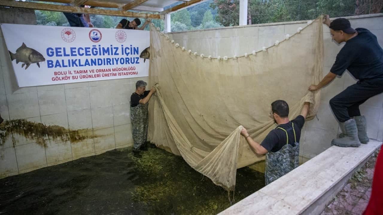 Foto - 1 milyondan fazlası yola çıktı Ankara’ya balık akını başladı
