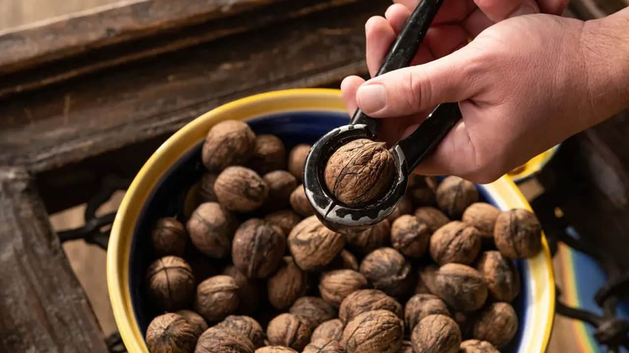Foto - 1 tanesi yetti: Sinirleri canlandırıyor, hafızaya format atıyor... Dereotunun bilinmeyen faydaları ortaya çıktı