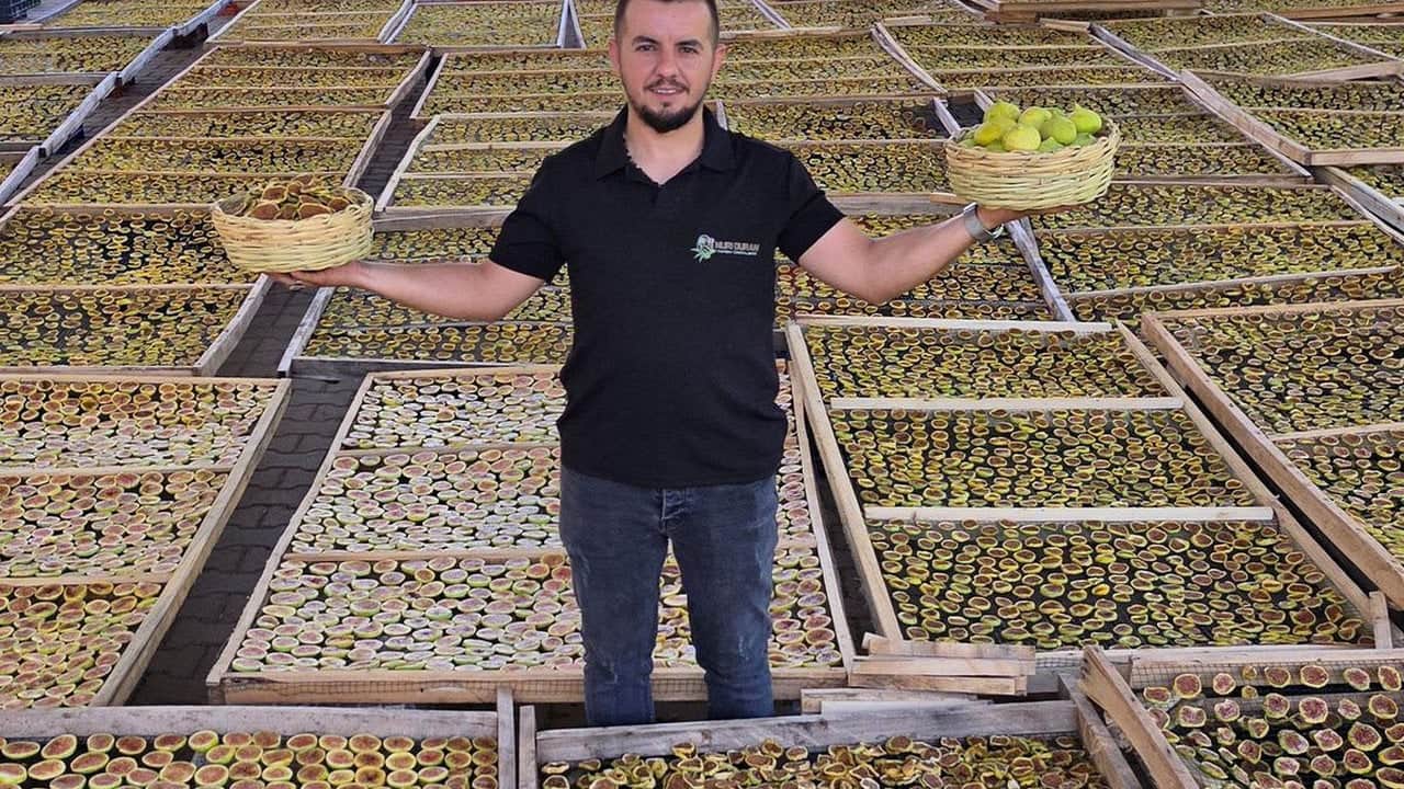 10 sene önce keşfetti! Babasının verdiği üç çuval incirle başladı, şimdi bütün dünyaya yayılıyor