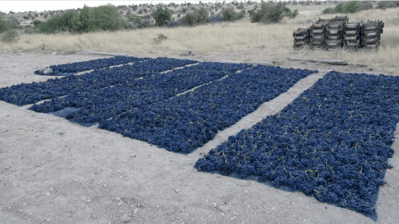 Foto - 1000 rakımda kurutuyorlar: Kilosu 600 liradan satılıyor!