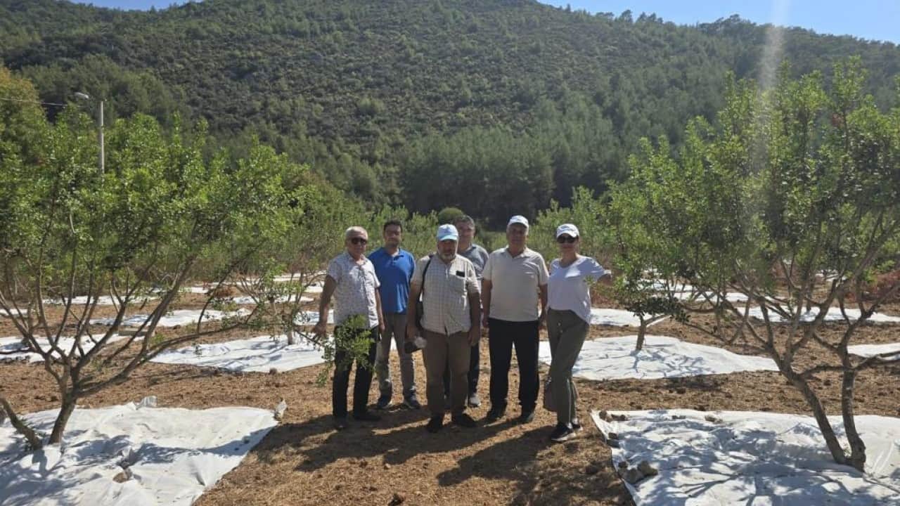 Foto - 11 yıl sonra ilk hasat kilosu 50 bin liradan satılıyor