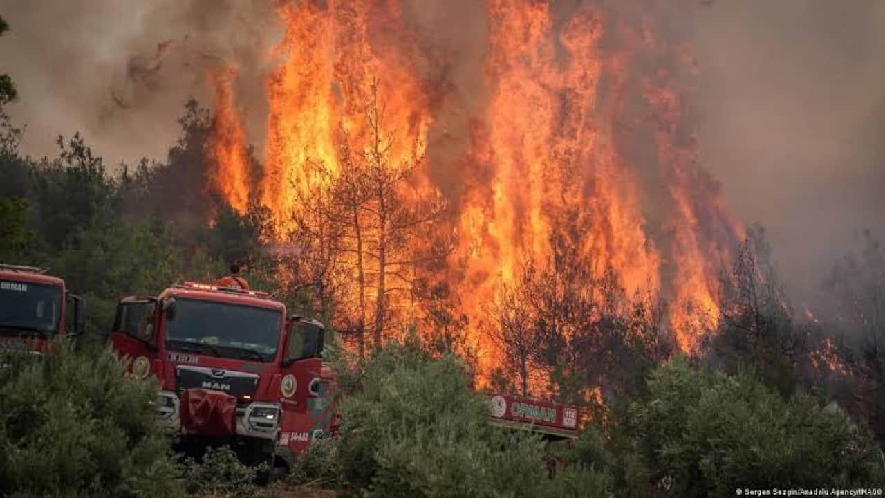 Foto - 1200 orman yangını çıktı Ormanlarda riskli dönem uyarısı