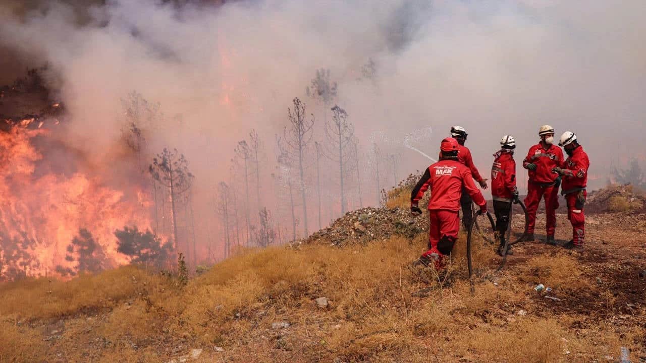 Foto - 1200 orman yangını çıktı Ormanlarda riskli dönem uyarısı