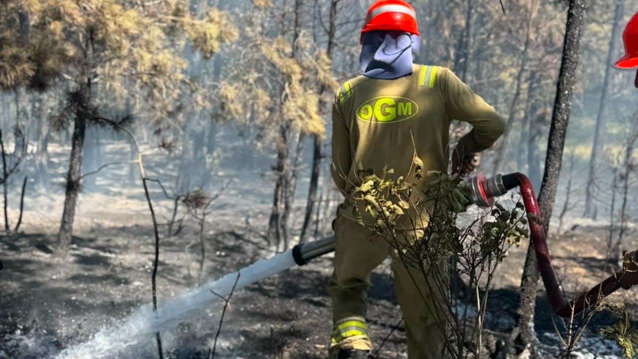 Foto - 1200 orman yangını çıktı Ormanlarda riskli dönem uyarısı