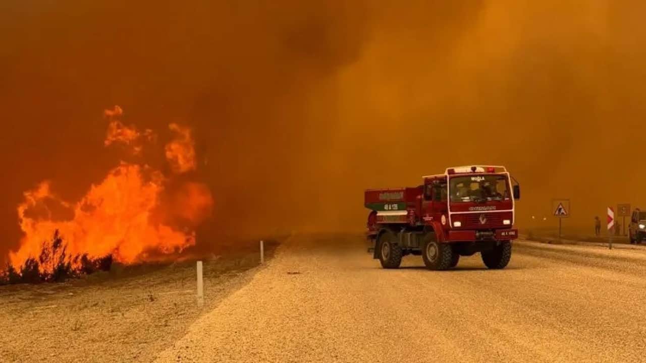 Foto - 1200 orman yangını çıktı Ormanlarda riskli dönem uyarısı