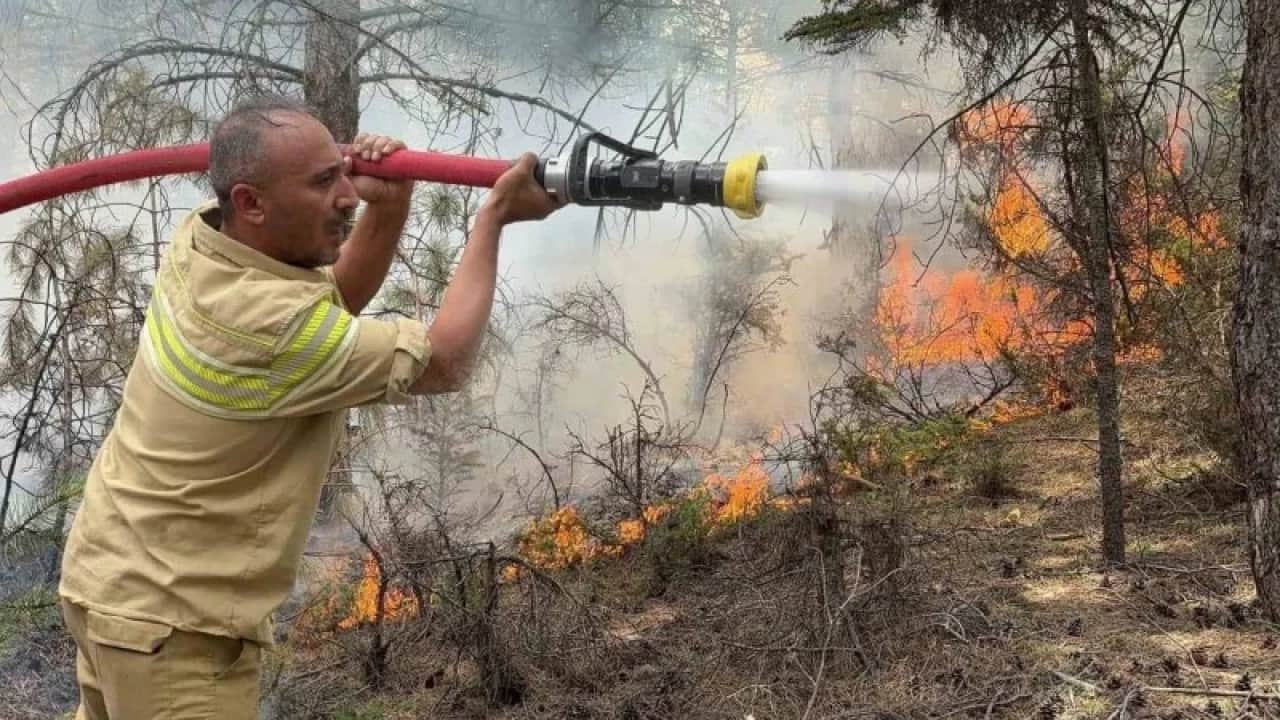 Foto - 1200 orman yangını çıktı Ormanlarda riskli dönem uyarısı