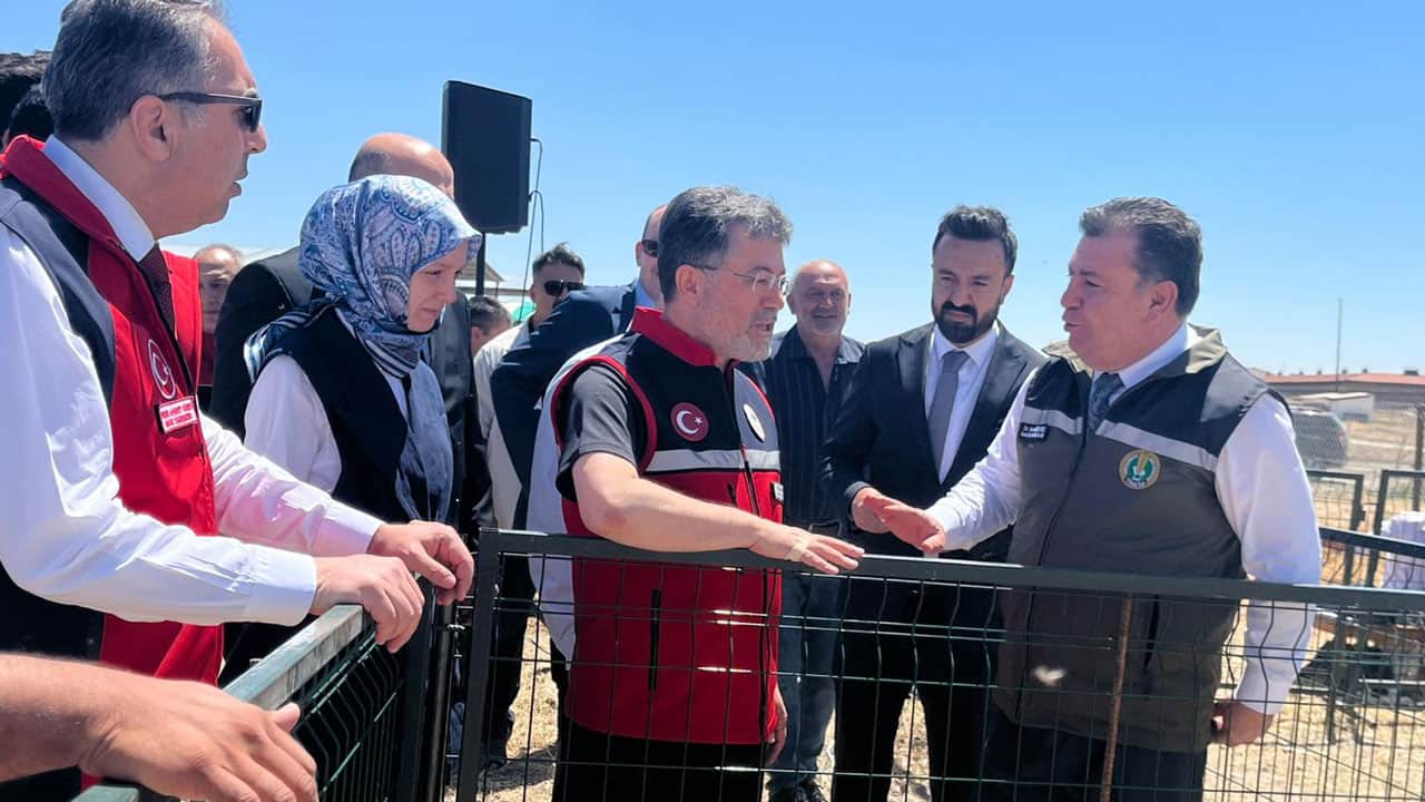 Foto - 160 bin küçükbaş dağıtımı başladı! Hayvan üreticilerine destek bereketi