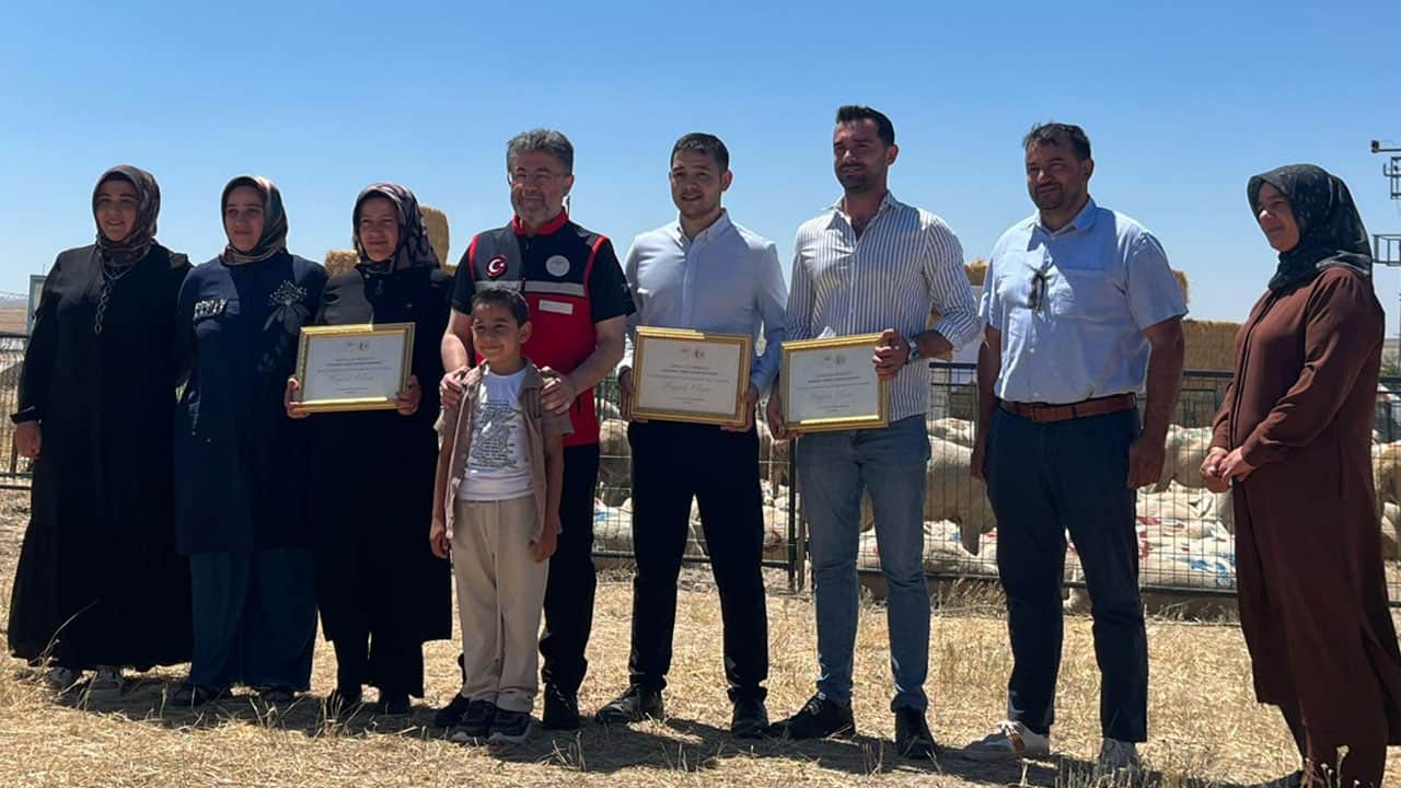 Foto - 160 bin küçükbaş dağıtımı başladı! Hayvan üreticilerine destek bereketi