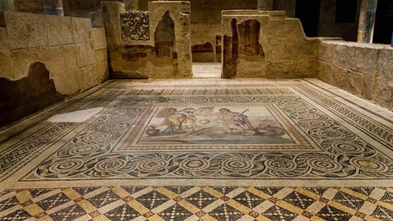 Foto - 1800 Yıllık Zeugma Mozaiği'nde Tıbbi Keşif!