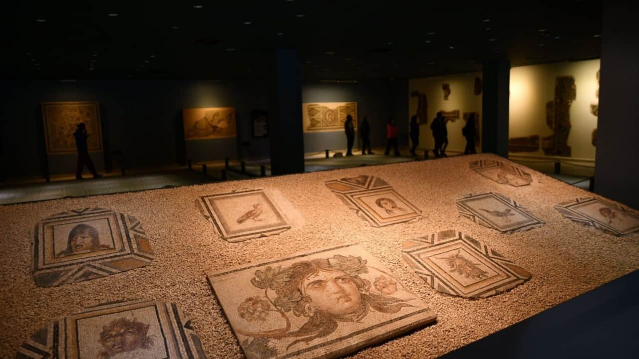 Foto - 1800 Yıllık Zeugma Mozaiği'nde Tıbbi Keşif!