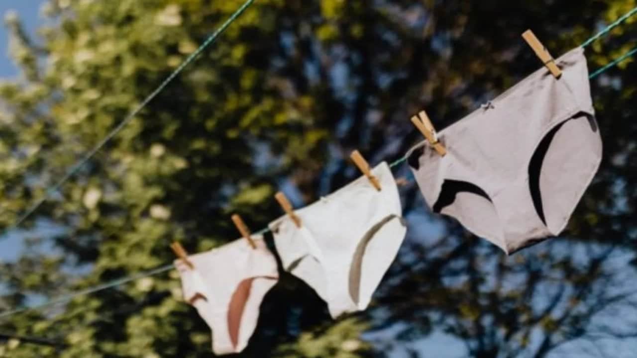 Foto - 2 bin iç çamaşırı apar topar toprağa gömüldü! Sebebi ağızları açık bıraktı