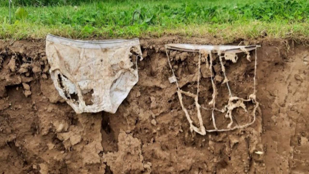 Foto - 2 bin iç çamaşırı apar topar toprağa gömüldü! Sebebi ağızları açık bıraktı