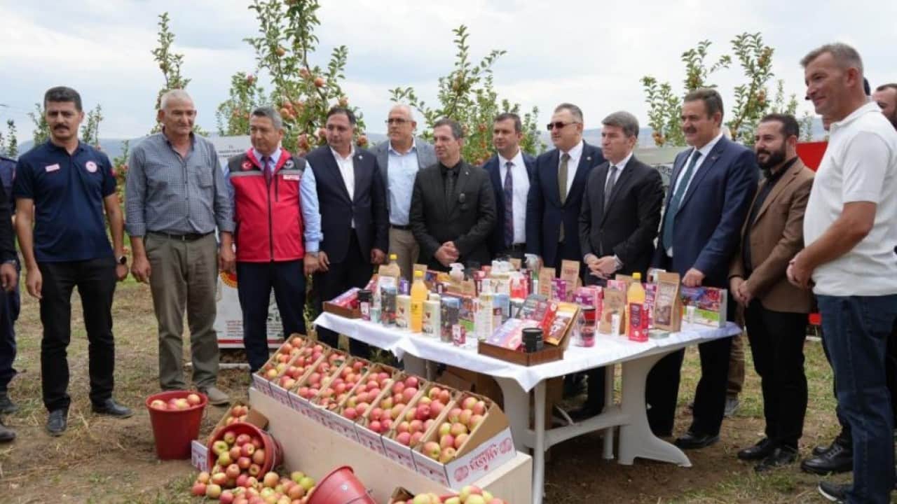 Foto - 2 bin yıldır tadı değişmedi! Amasya'nın misket elmasında dev rekolte