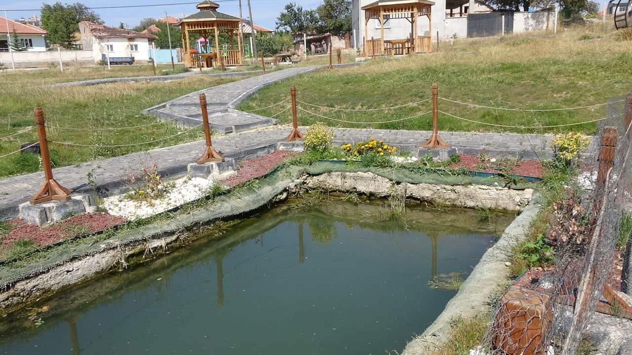 Foto - 2 bin yıllık tarih yeniden suyla buluştu! Antik havuz 20 yıl sonra ortaya çıktı