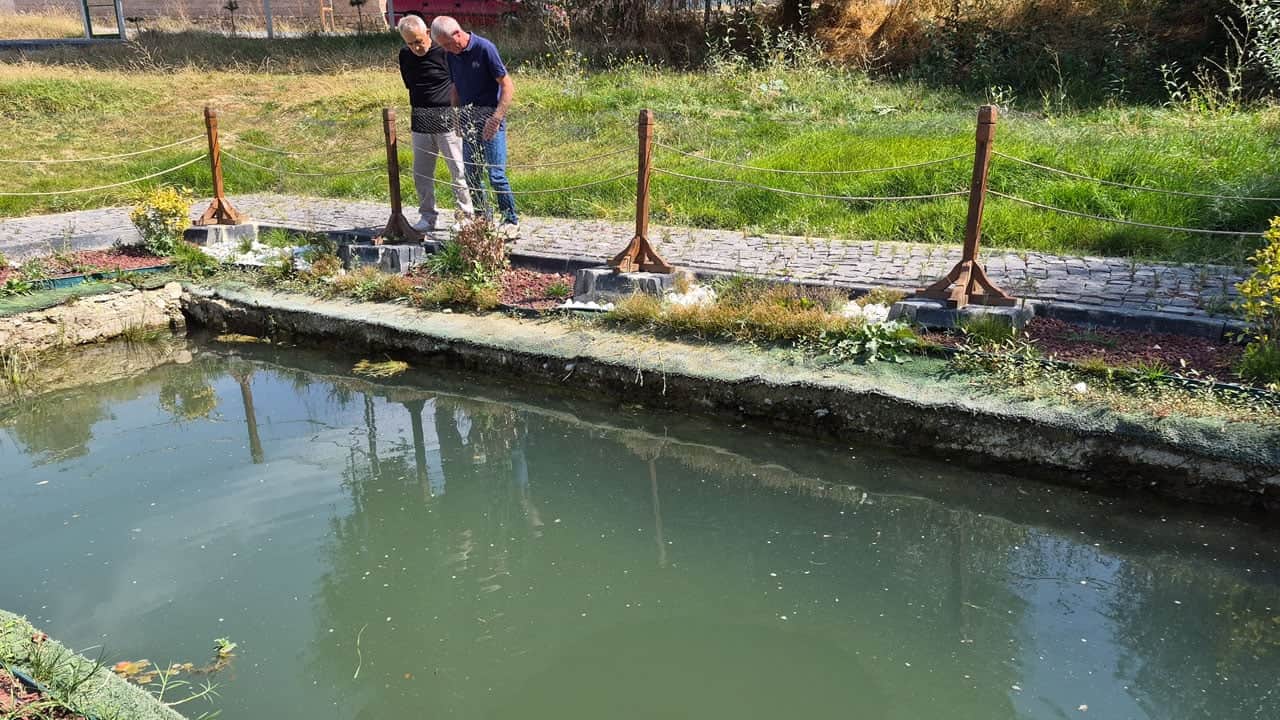 Foto - 2 bin yıllık tarih yeniden suyla buluştu! Antik havuz 20 yıl sonra ortaya çıktı