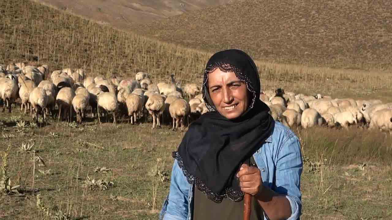 Foto - 2 çocuk annesi Özlem üretici olmak istiyor: Kadın çobanın hayali kendi işini kurmak