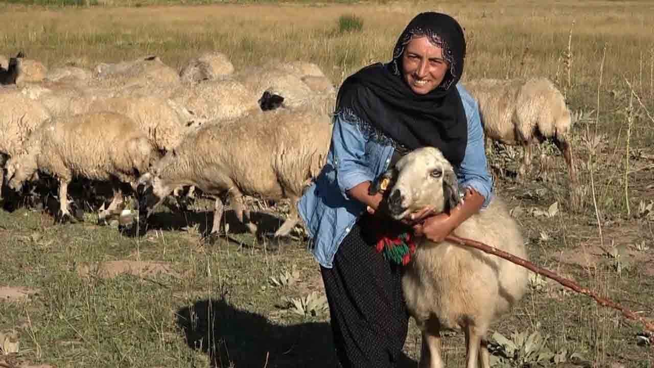 2 çocuk annesi Özlem üretici olmak istiyor: Kadın çobanın hayali kendi işini kurmak