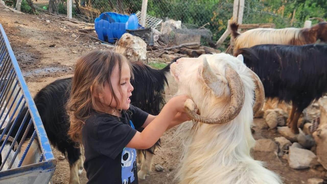 Foto - 20 yıl sonra memleketine döndü Ata tohumunu çoğaltmayı başardı