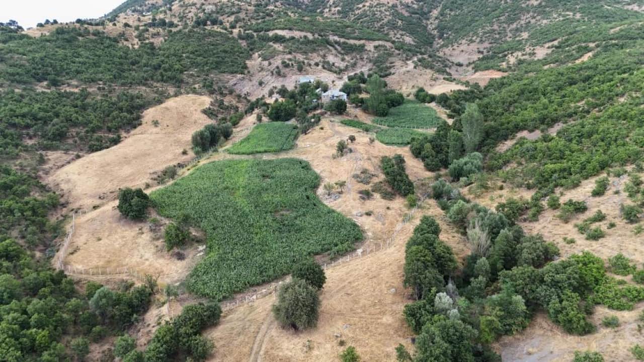 Foto - 20 yıl sonra memleketine döndü Ata tohumunu çoğaltmayı başardı