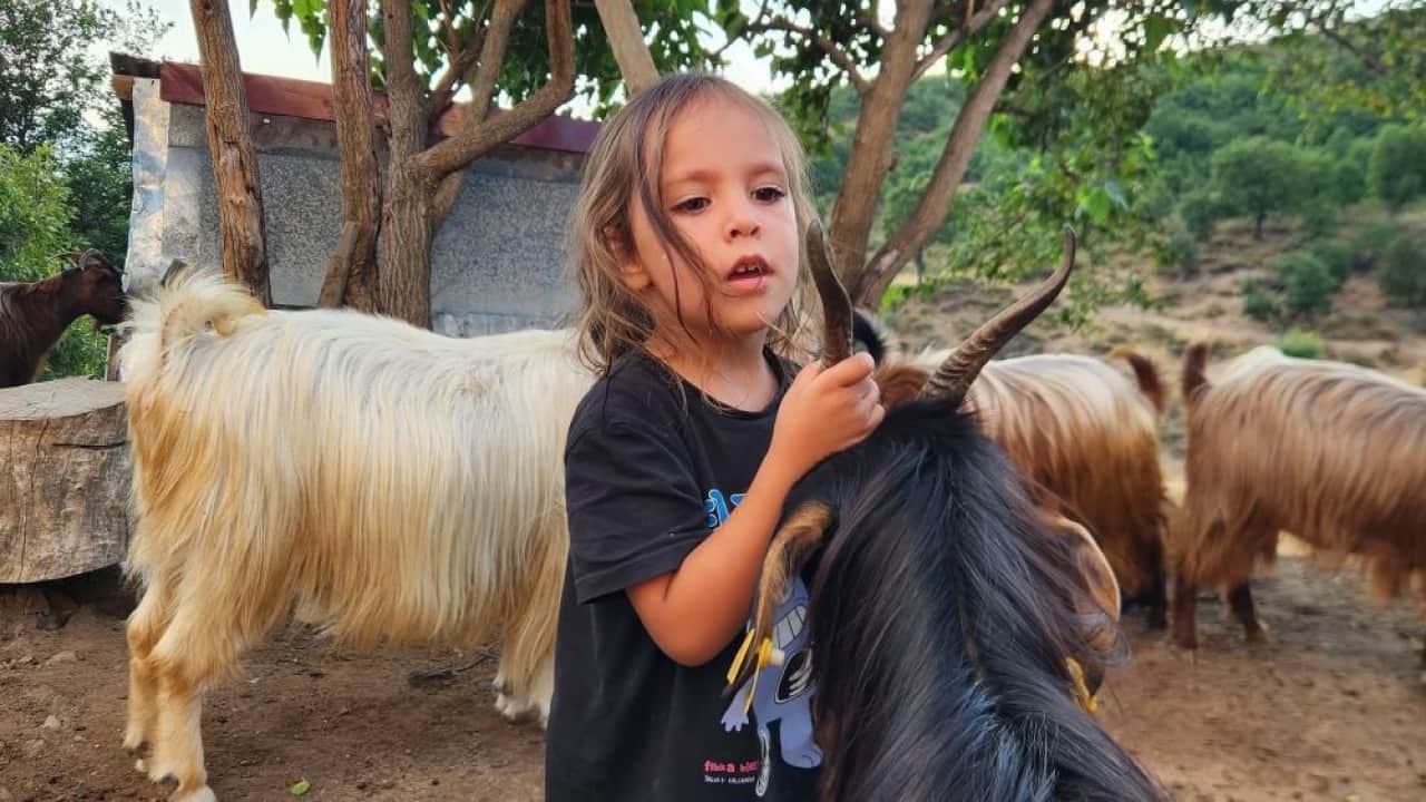 Foto - 20 yıl sonra memleketine döndü Ata tohumunu çoğaltmayı başardı