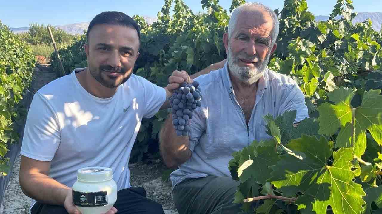 Foto - 200 liradan alıcı buluyor: Cimin üzümü hasadı başladı!