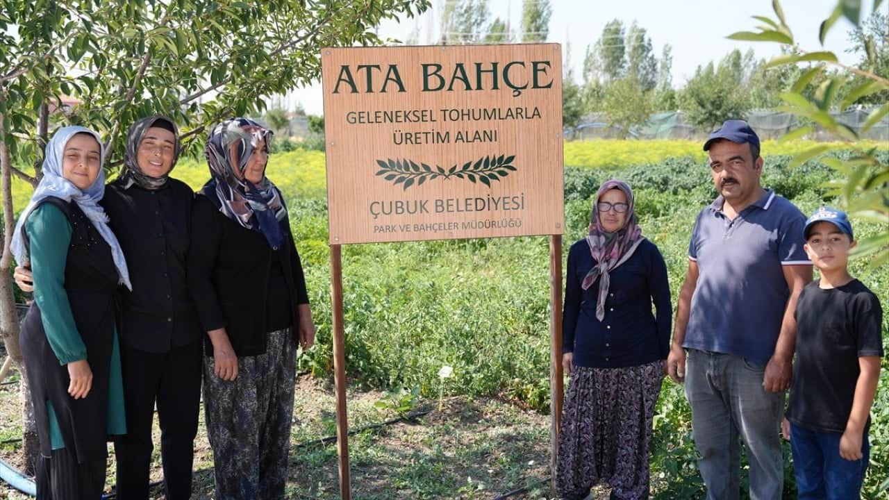 Foto - 2008'de coğrafi işaret almıştı! Çubuk turşusu 45 çeşidiyle dünya pazarında