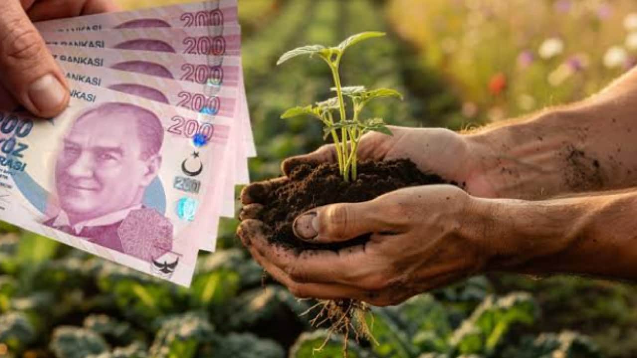 2026-2027 tarımsal destek tutarları netleşti! İşte çiftçi ve yetiştiriciyi sevindirecek paket