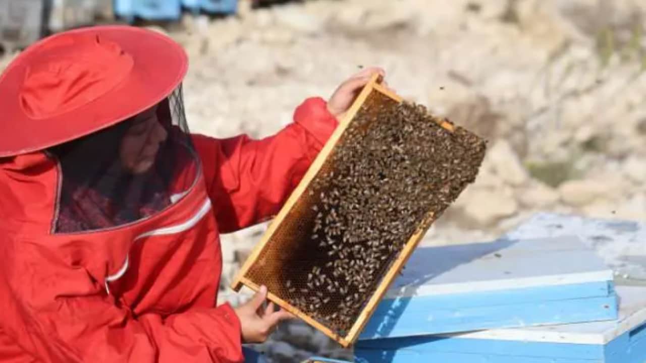 Foto - 22 yaşında kendi işini kurdu: Diplomasını alır almaz onların peşine düştü! 