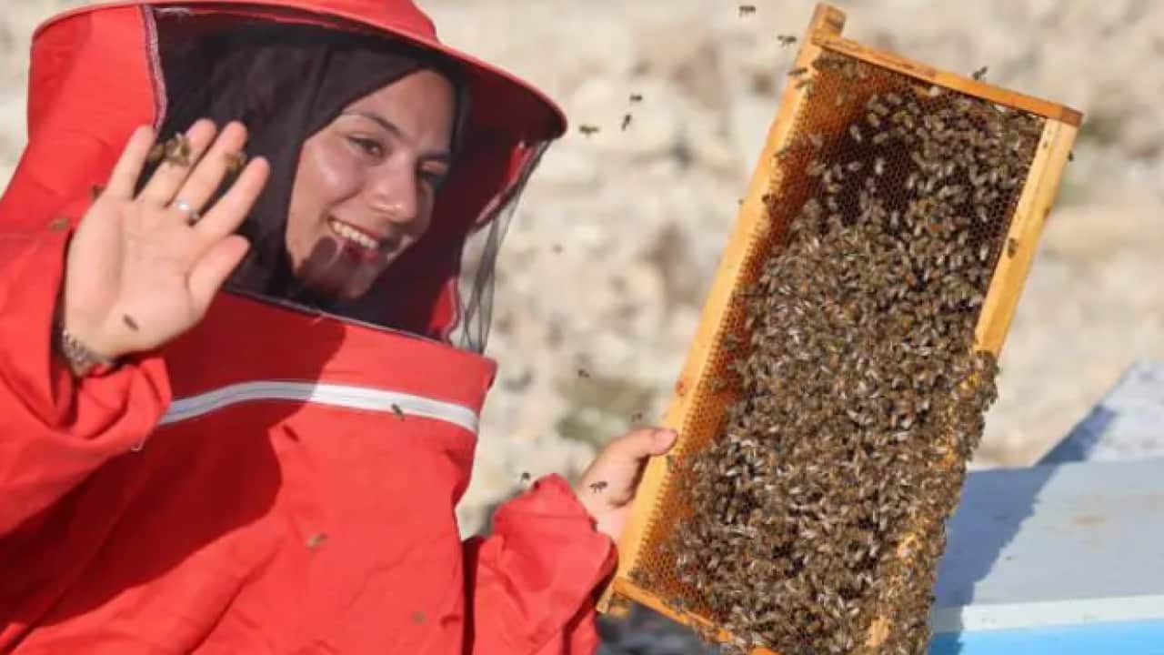 22 yaşında kendi işini kurdu: Diplomasını alır almaz onların peşine düştü! 