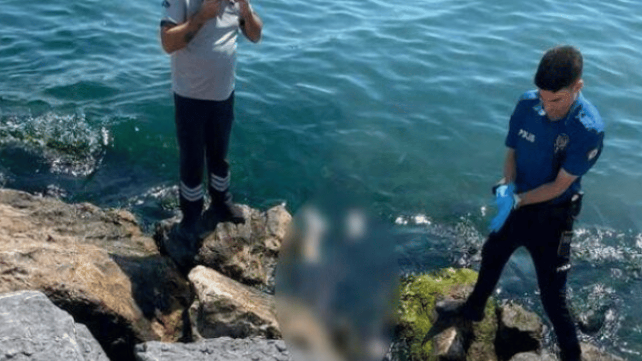 Foto - 3 kardeş boğularak can vermişti: Kayıp kardeşten haber geldi!