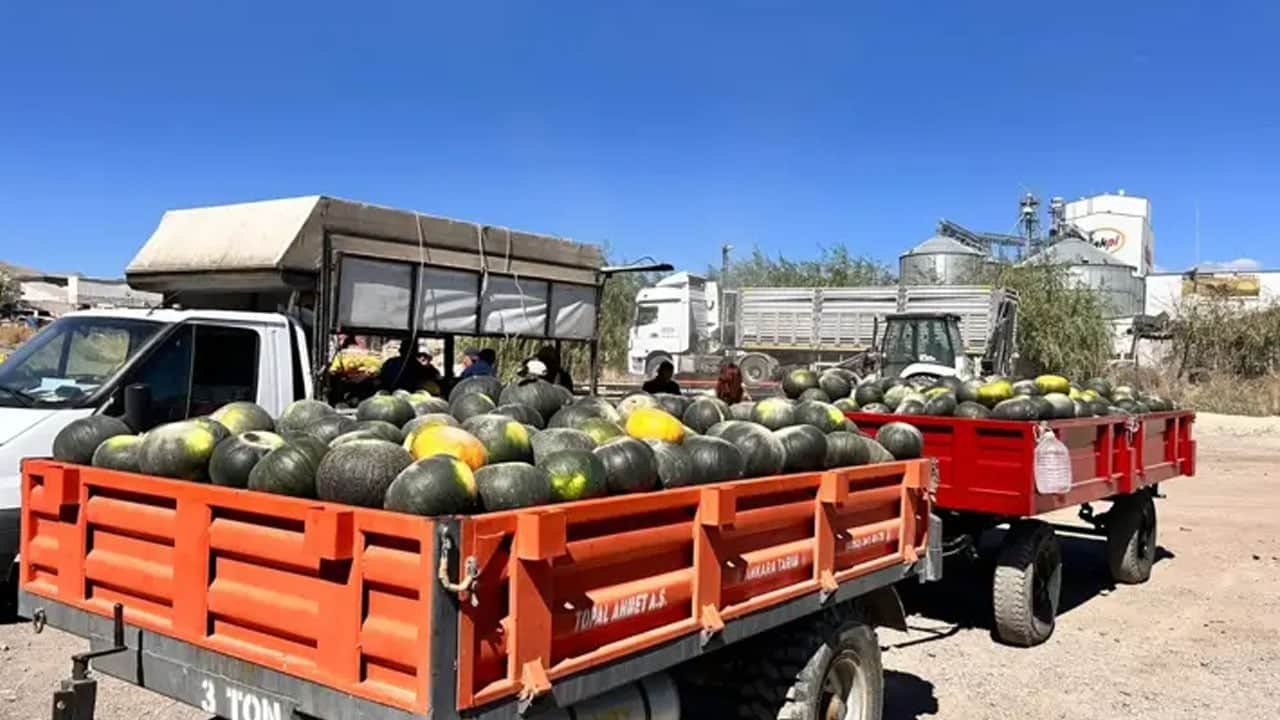  3 kuşaktır ata tohumundan üretiliyor tam 35 yıldır satıyorlar.. O meyve tezgahtaki yerini aldı 