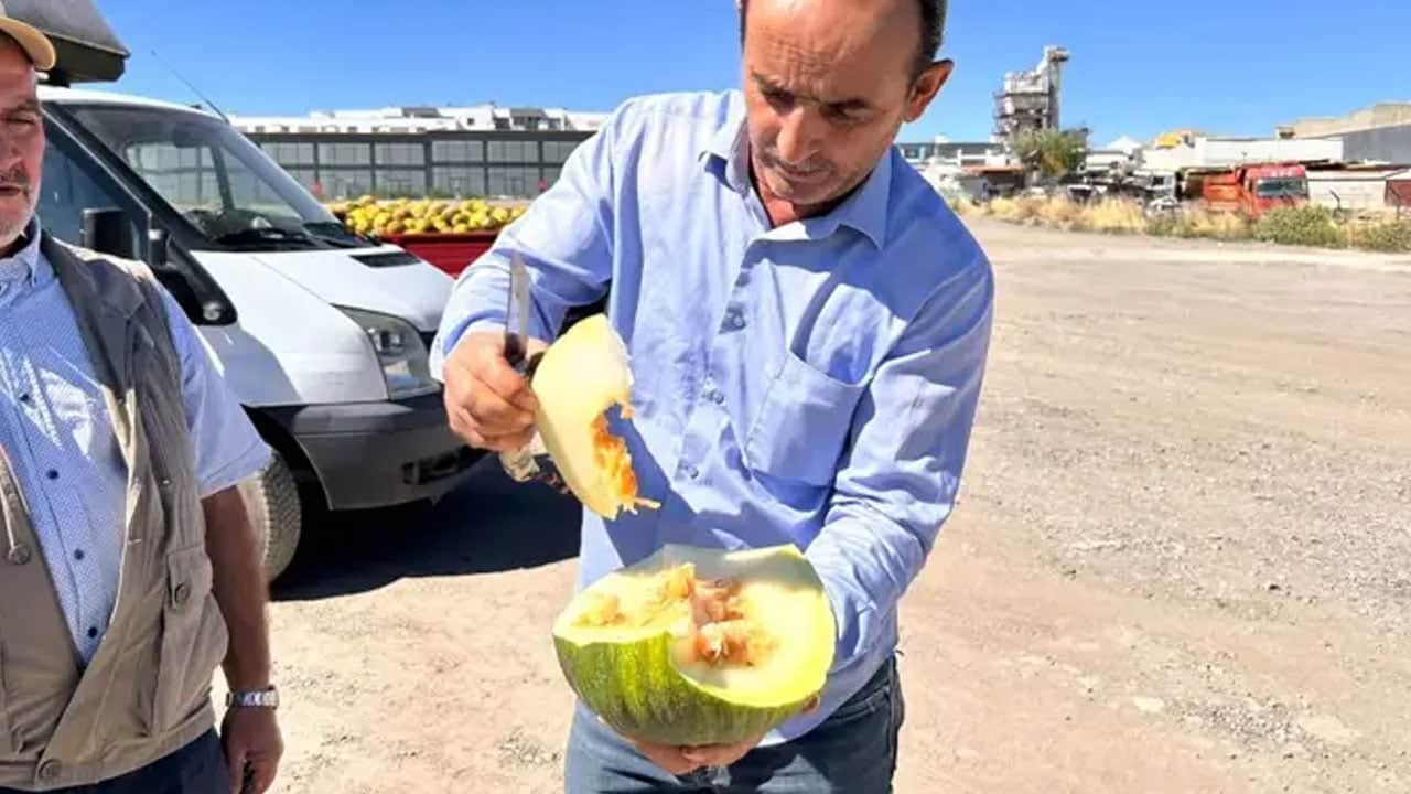 Foto - 3 kuşaktır ata tohumundan üretiliyor tam 35 yıldır satıyorlar.. O meyve tezgahtaki yerini aldı 