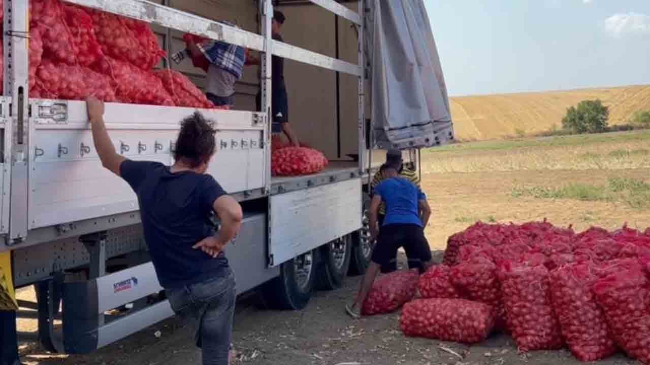 Foto - 3 yıllık emeğin lezzeti: Tekirdağ soğanı dünya markası olma yolunda