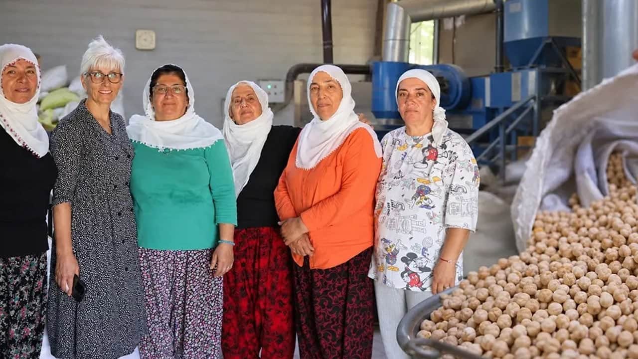Foto - 30 yıl sonra memleketine döndü, iş kurdu: 22 kadın şimdi Avrupa'ya leblebi satıyor