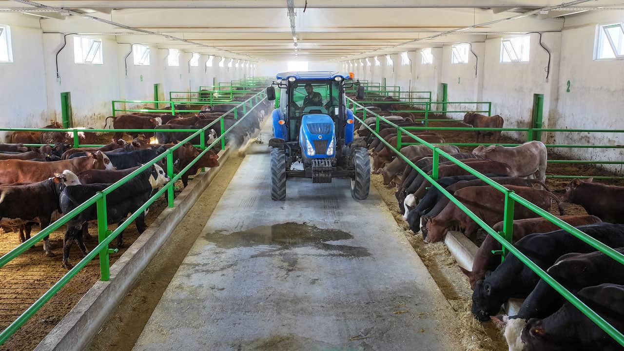 Foto - 30 yıllık besiciliğini modern tesise taşıdı! 10 milyon TL hibe desteğiyle 350 hayvanlık çiftlik kurdu