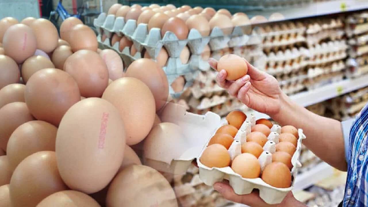 30’lu koli bakın ne kadar oldu? Füze gibi fırlayan yumurta fiyatlarını görenler resmen şok geçirdi