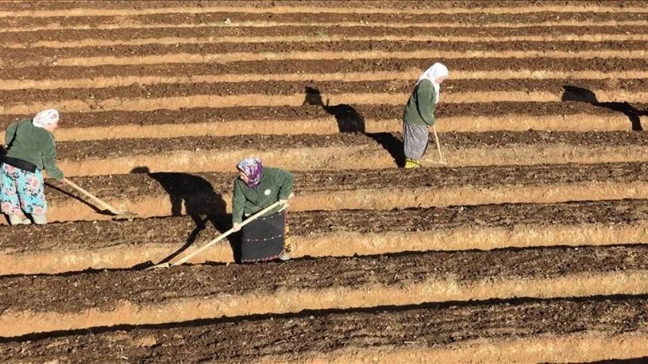 Foto - 3,3 milyar liranın yüzde 20’si hibe verilecek Orman köylüsüne destek müjdesi