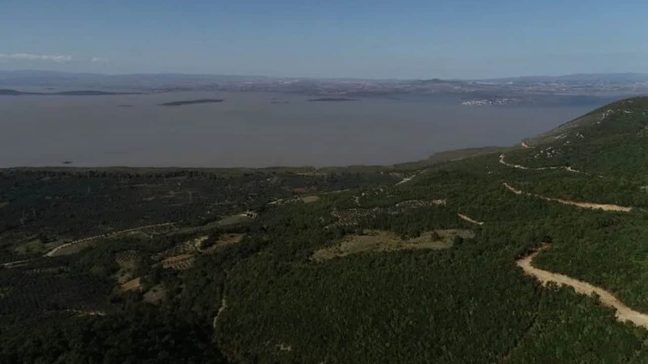 Foto - 3,3 milyar liranın yüzde 20’si hibe verilecek Orman köylüsüne destek müjdesi