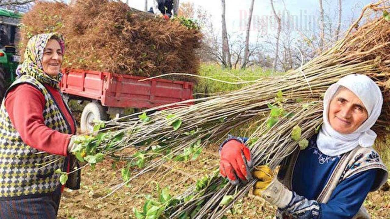 Foto - 3,3 milyar liranın yüzde 20’si hibe verilecek Orman köylüsüne destek müjdesi