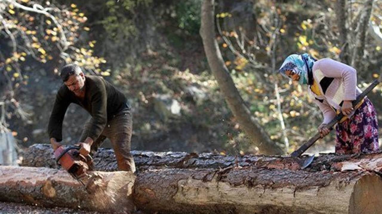 Foto - 3,3 milyar liranın yüzde 20’si hibe verilecek Orman köylüsüne destek müjdesi