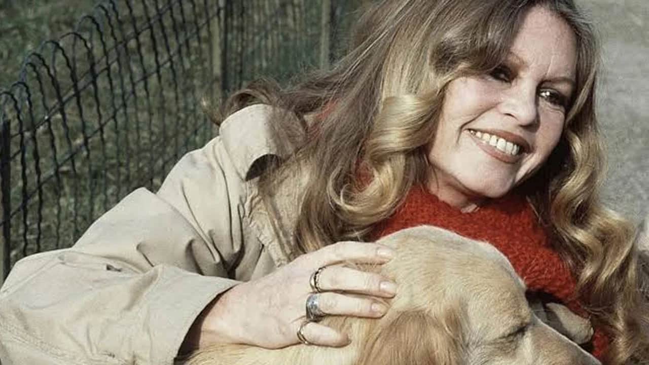  35 yıldır orada yaşıyorum diyen dünya sinemasının efsanesi Brigitte Bardot’nun eşi eşyaların satılmasına tepki verdi