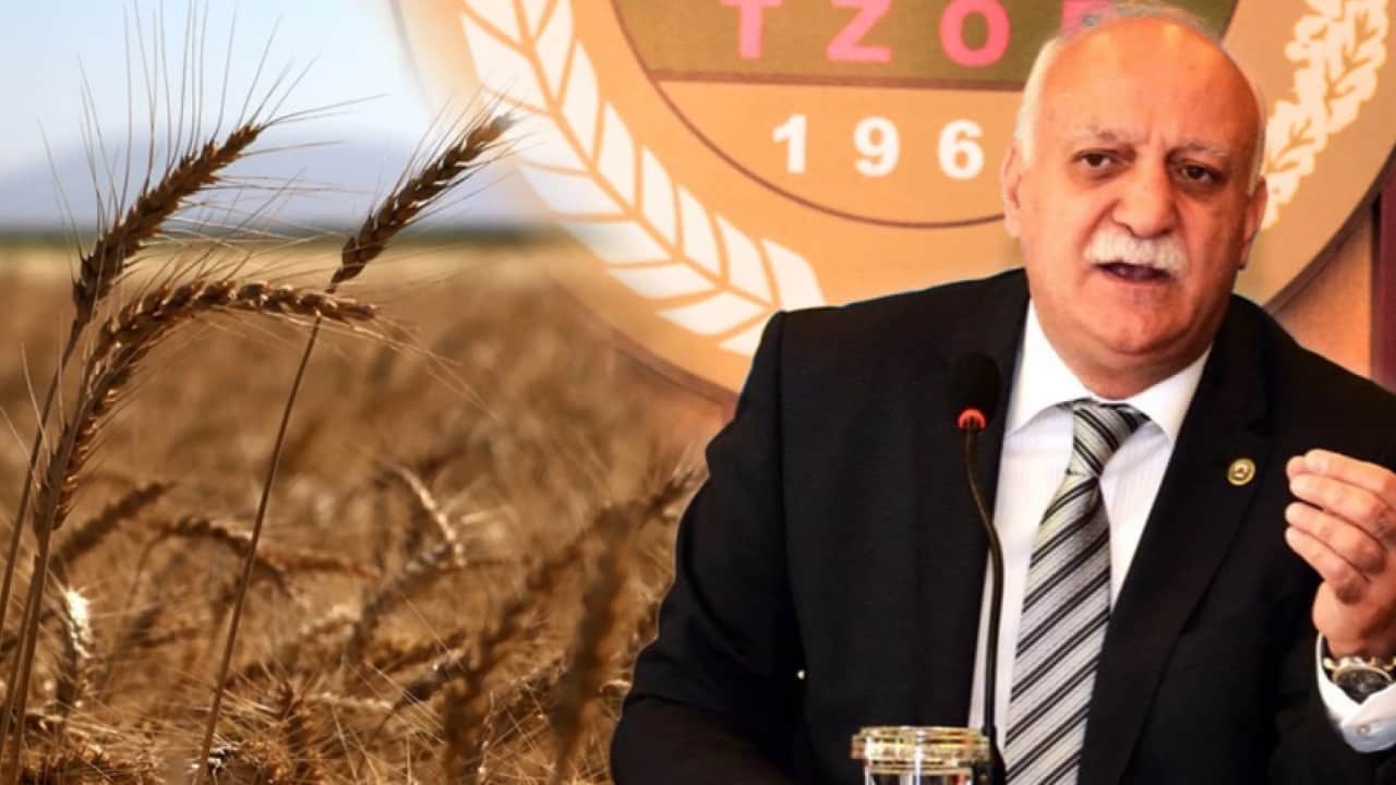 Foto - 40 yıldır böylesi görülmedi! Türkiye’nin tarlalarından bereket fışkırdı