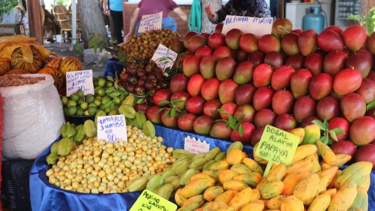 Foto - 40’a yakın meyve yetişiyor Tropikal lezzetler Alanya’yı çok sevdi
