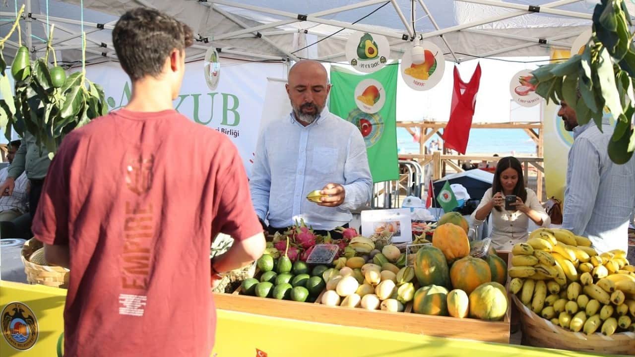 Foto - 40’a yakın meyve yetişiyor Tropikal lezzetler Alanya’yı çok sevdi