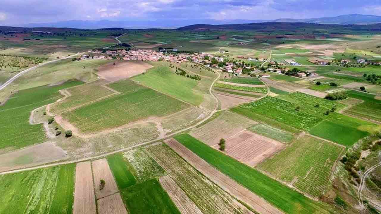 Foto - 5 soru 5 cevap: Kiralık tarım arazisi modelinde merak edilenler
