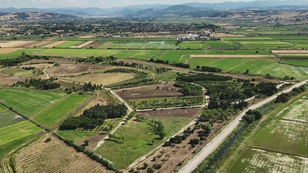 Foto - 6 ayda yaklaşık 3,5 milyon lira gelir: Aromatik ürünler yüzlerini güldürdü